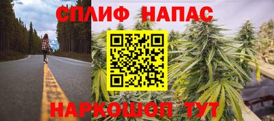 стаф Будённовск