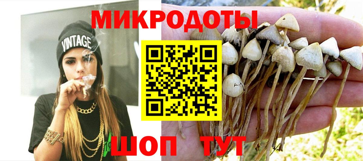 Псилоцибиновые грибы Magic Shrooms Пушкино
